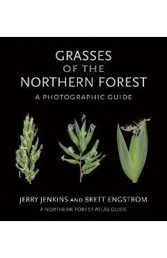 Grasses of the Northern Forest: A Photographic Guide - Jerry Jenkins