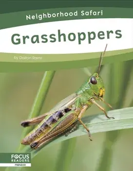 Grasshoppers, Hardback/Dalton Rains
