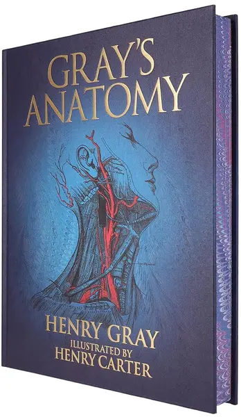 Gray's Anatomy (Arcturus Epic Classics)