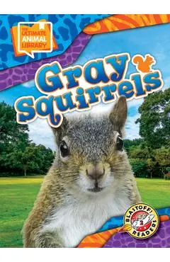 Gray Squirrels - Janie Scheffer