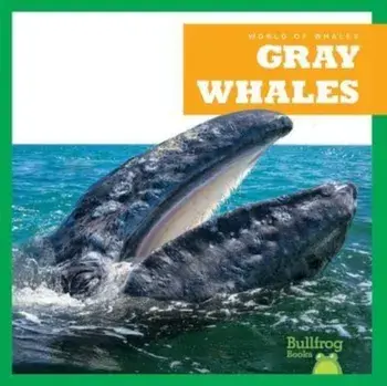 Gray Whales, Hardback/Eliza Leahy