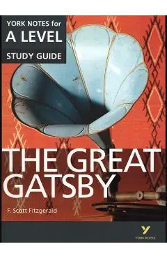 Great Gatsby: York Notes for A-level