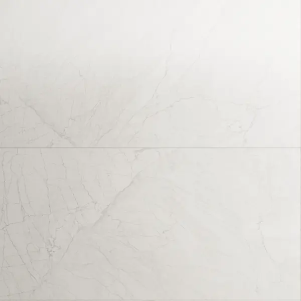 Gresie portelanata exterior / interior Blueberry White 60 x 120 cm mata rectificata tip marmura