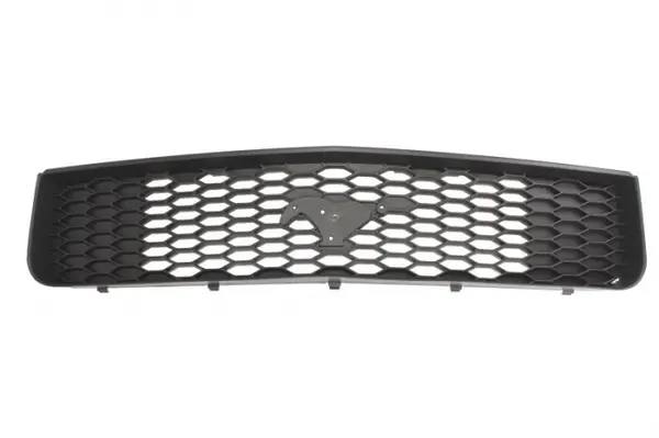 Grila fata FORD MUSTANG intre 2004-2009