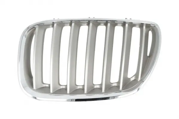 Grila fata stanga titanium BMW X5 E53 intre 2003-2006