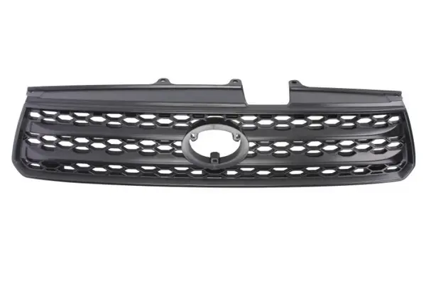 Grila fata TOYOTA RAV 4 II intre 2000-2003