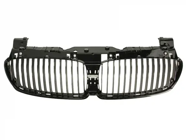 Grila radiator fata interior BMW intre 7 E65, E66, E67 intre 2005-2009
