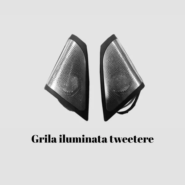 Grile Tweetere iluminate dedicate Bmw Seria 5 F10 2010-2016, RGB Acrilice 2 in 1 Statice cu efect RGB, Control din Aplicatie Bluetooth