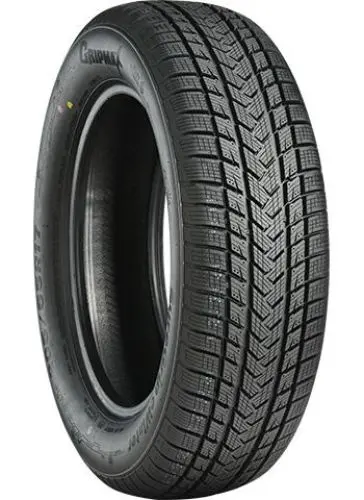 GRIPMAX SUREGRIP eWINTER 205/40R17 84V
