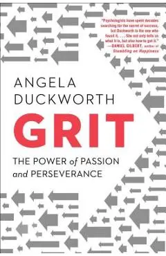 Grit: The Power of Passion and Perseverance - Angela Duckworth