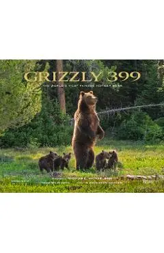 Grizzly 399: The World's Most Famous Mother Bear - Thomas D. Mangelsen