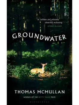 Groundwater. ‘Complex, chilling, masterful' Financial Times, Hardback/Thomas McMullan