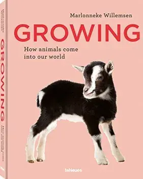 Growing: How Animals Come Into Our World, Hardcover/Marlonneke Willemsen