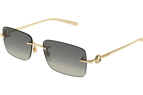 Gucci GG1703S 005