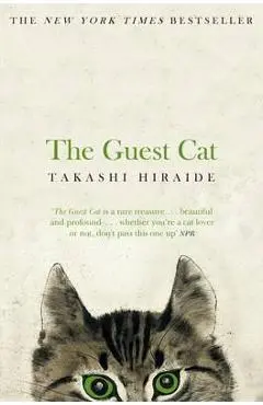 Guest Cat