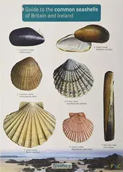 Guide to the Common Seashells of Britain and Ireland/Chris Field Studies Council