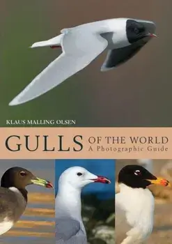 Gulls of the World: A Photographic Guide, Hardcover/Klaus Malling Olsen
