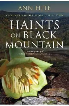Haints on Black Mountain: A Haunted Short Story Collection - Ann Hite