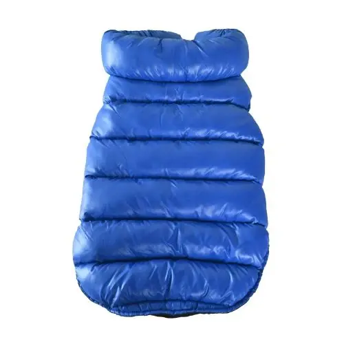 Hainuta caini 4DOG DELUXE Cosmo Albastru