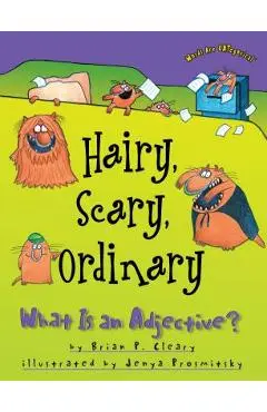 Hairy, Scary, Ordinary: What Is an Adjective? - Brian P. Cleary
