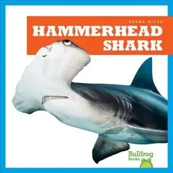 Hammerhead Shark, Hardcover/Jenna Lee Gleisner