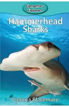 Hammerhead Sharks - Victoria Blakemore