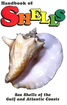 Handbook of Shells: Sea Shells of the Gulf and Atlantic Coasts, Hardcover/Lula Siekman