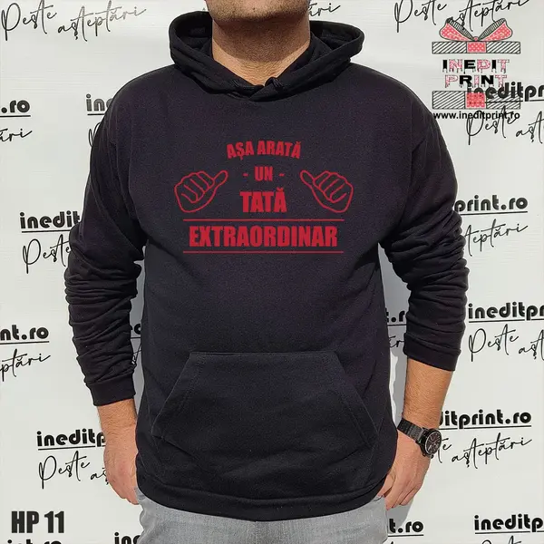 Hanorac Asa arata un tata extraordinar HP11 L, Gri