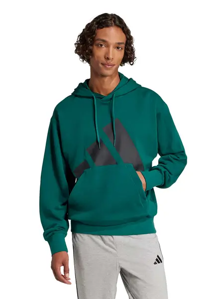 Hanorac Essentials Big Logo French Terry