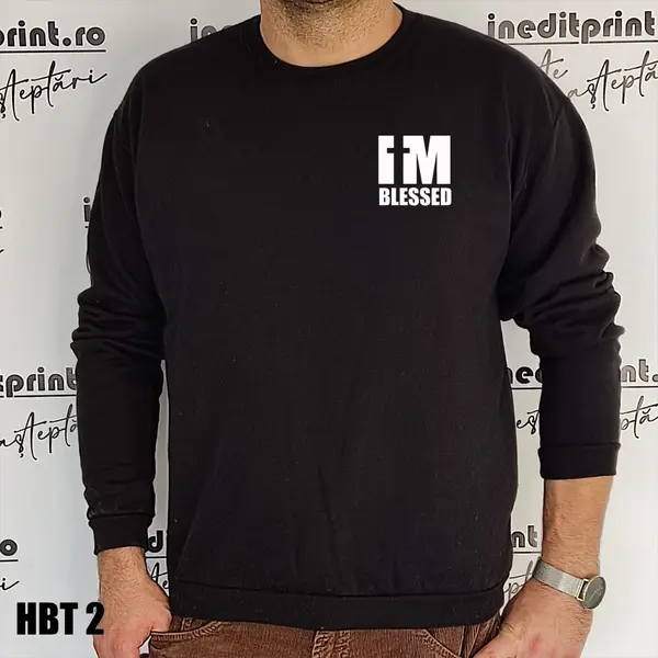 Hanorac, Tricou sau Bluza HBT2 2XL, Bluză gri