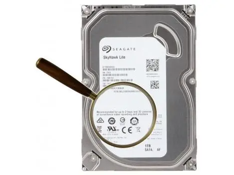Hard disk 1TB pentru supraveghere video 24/7, Seagate SkyHawk ST1000VX