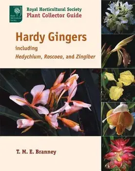Hardy Gingers: Including Hedychium, Roscoea, and Zingiber, Paperback/T. M. E. Branney