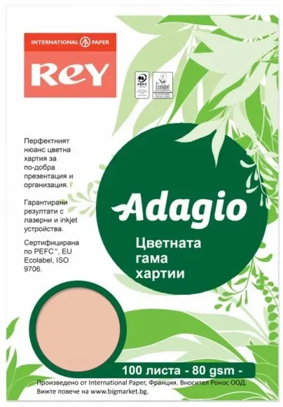 Hartie colorata pentru copiator Rey Adagio - Peach, A4, 80 g, 100 coli