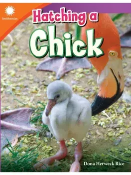 Hatching a Chick, Paperback/Dona Herweck Rice