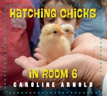 Hatching Chicks in Room 6, Paperback/Caroline Arnold