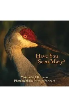 Have You Seen Mary? - Jeff Kurrus