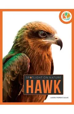 Hawk - Laura Purdie Salas
