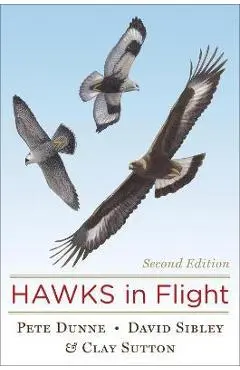Hawks in Flight - David Sibley