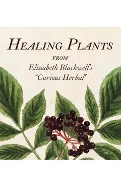 Healing Plants: From Elizabeth Blackwell's a Curious Herbal - Marta Mcdowell