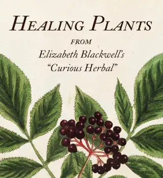 Healing Plants. From Elizabeth Blackwell's "Curious Herbal", Hardback/***