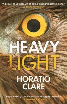 Heavy Light. A Journey Through Madness, Mania and Healing, Paperback/Horatio Clare
