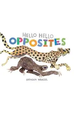 Hello Hello Opposites - Brendan Wenzel