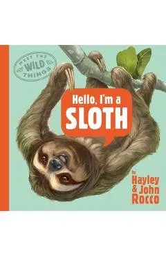 Hello, I'm a Sloth (Meet the Wild Things, Book 1) - Hayley Rocco