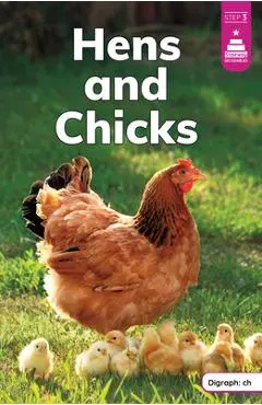Hens and Chicks - Laura Stickney