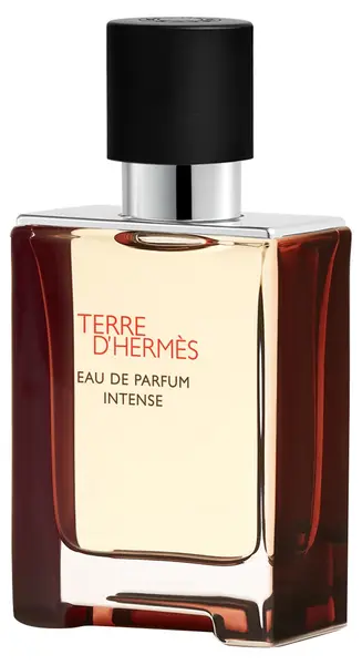 Hermes Terre d'Hermes Apă de parfum Intense, 50 ml