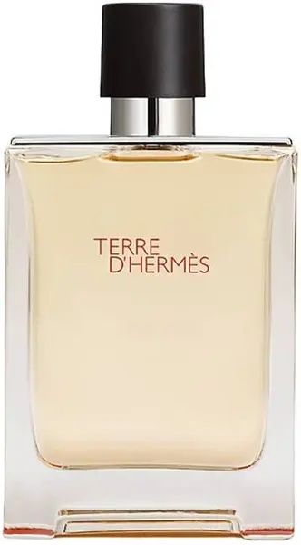 Hermes Terre D’Hermès Apă de toaletă, 100 ml, tester