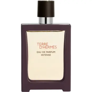 HERMÈS Terre d’Hermès Eau de Parfum Intense apă parfumată intense pentru bărbați