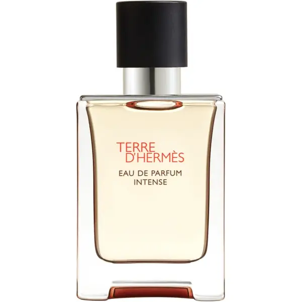 HERMÈS Terre d’Hermès Eau de Parfum Intense apă parfumată intense pentru bărbați 50 ml