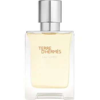 HERMÈS Terre d’Hermès Eau Givrée Eau de Parfum reincarcabil pentru bărbați