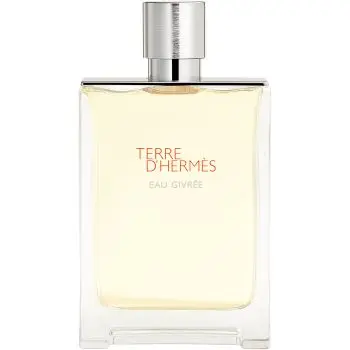 HERMÈS Terre d’Hermès Eau Givrée Eau de Parfum reincarcabil pentru bărbați